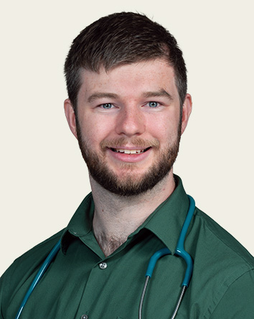 Portrait of Timothy Matthew Nolan, MD