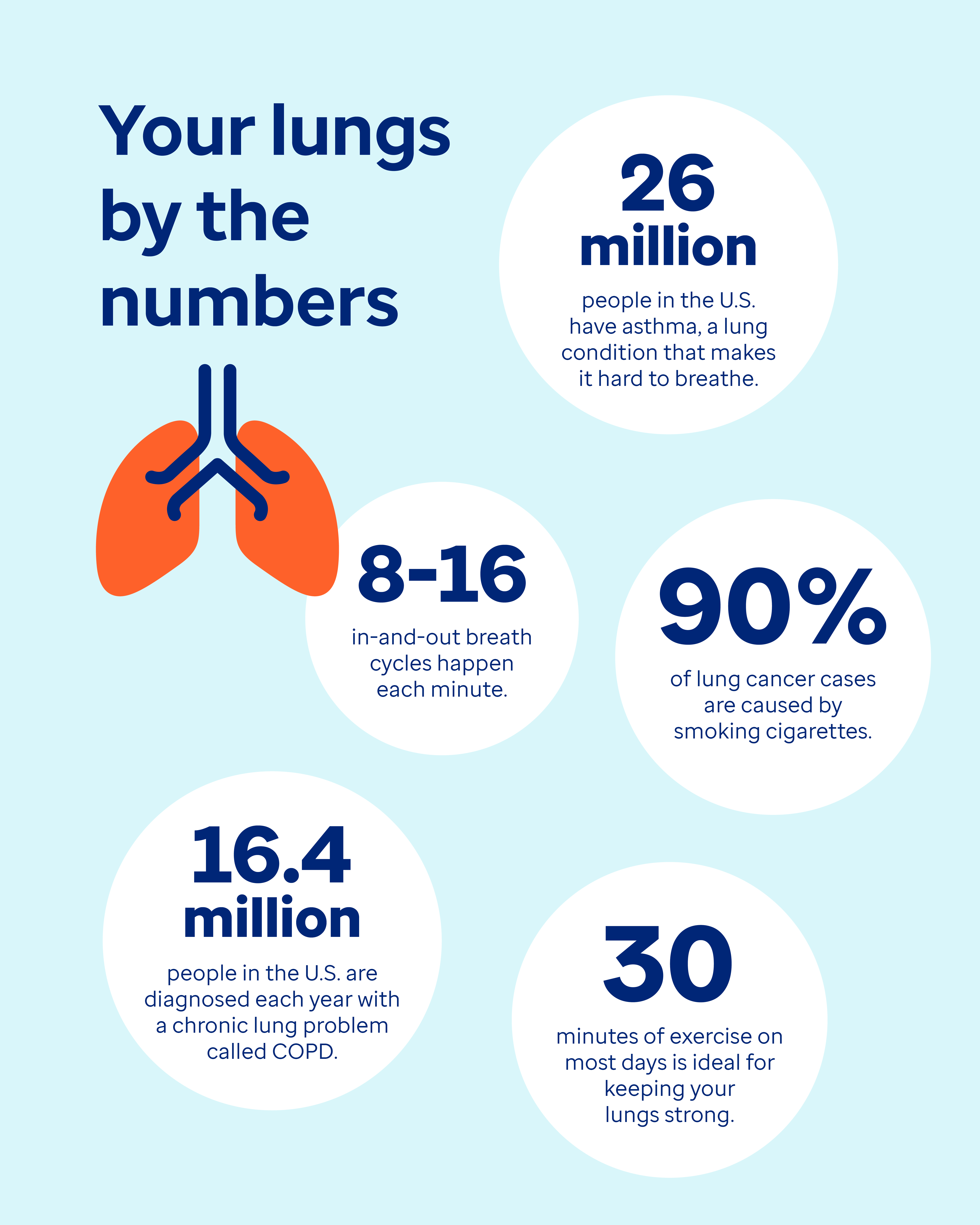 Your lungs by the numbers